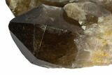 Smoky Citrine Crystal Cluster - Lwena, Congo #128413-2